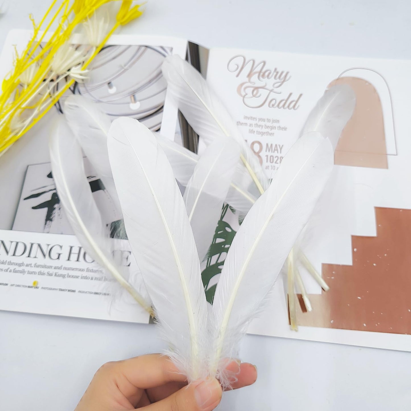 Natural Goose Feathers,50Pcs Bulk Long 8-10in (20-25cm) White Goose Feathers for Crafts Angel Wings Wedding Party DIY (Natural White)