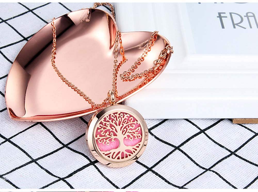 Aromatherapy Essential Oil Diffuser Necklace 316L Stainless Steel Locket Pendant with 24 Inch Chain(Rose)
