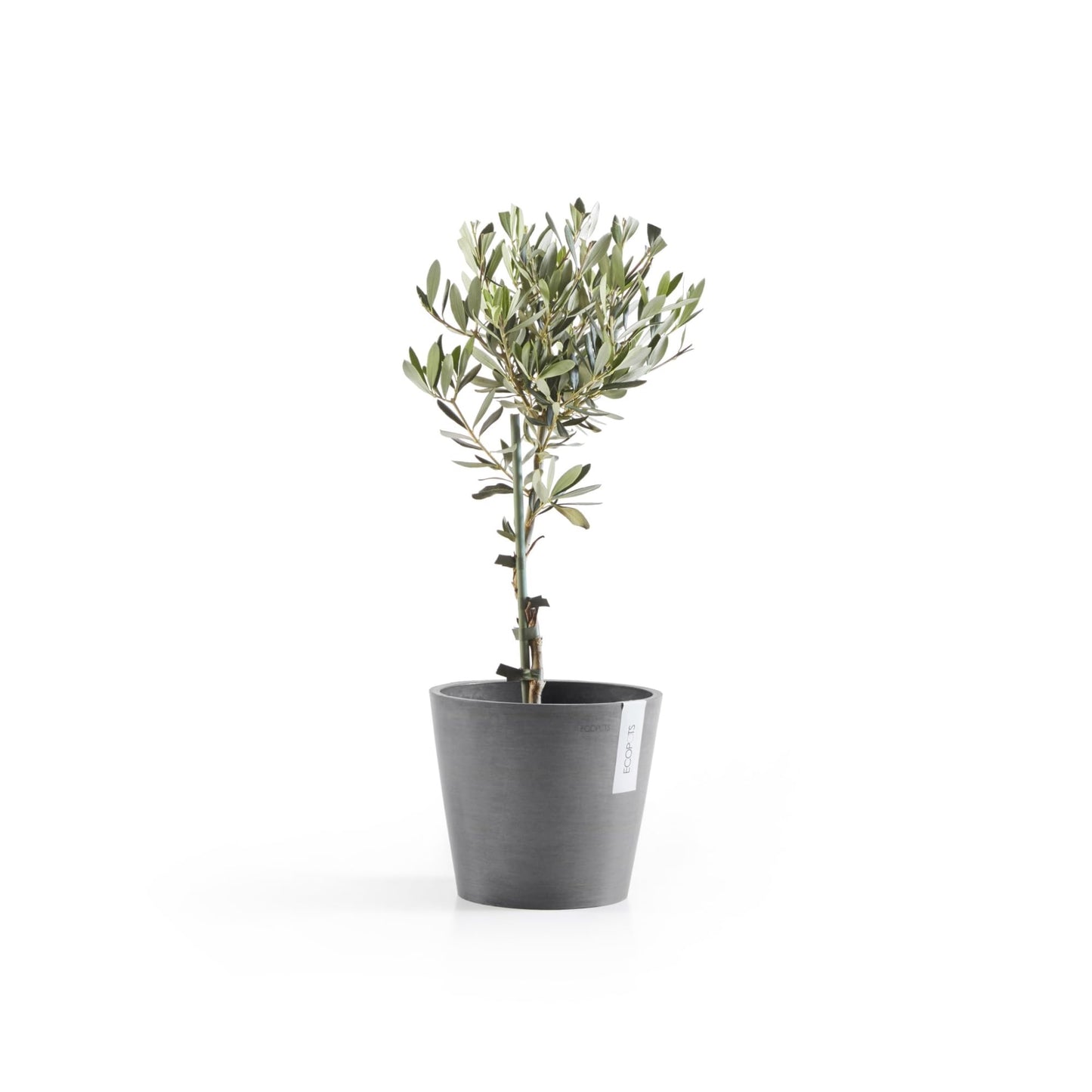 Ecopots Amsterdam Durable Modern Round Indoor/Outdoor Recycled-Based Composite Flower Pot Planter, Grey, 8"