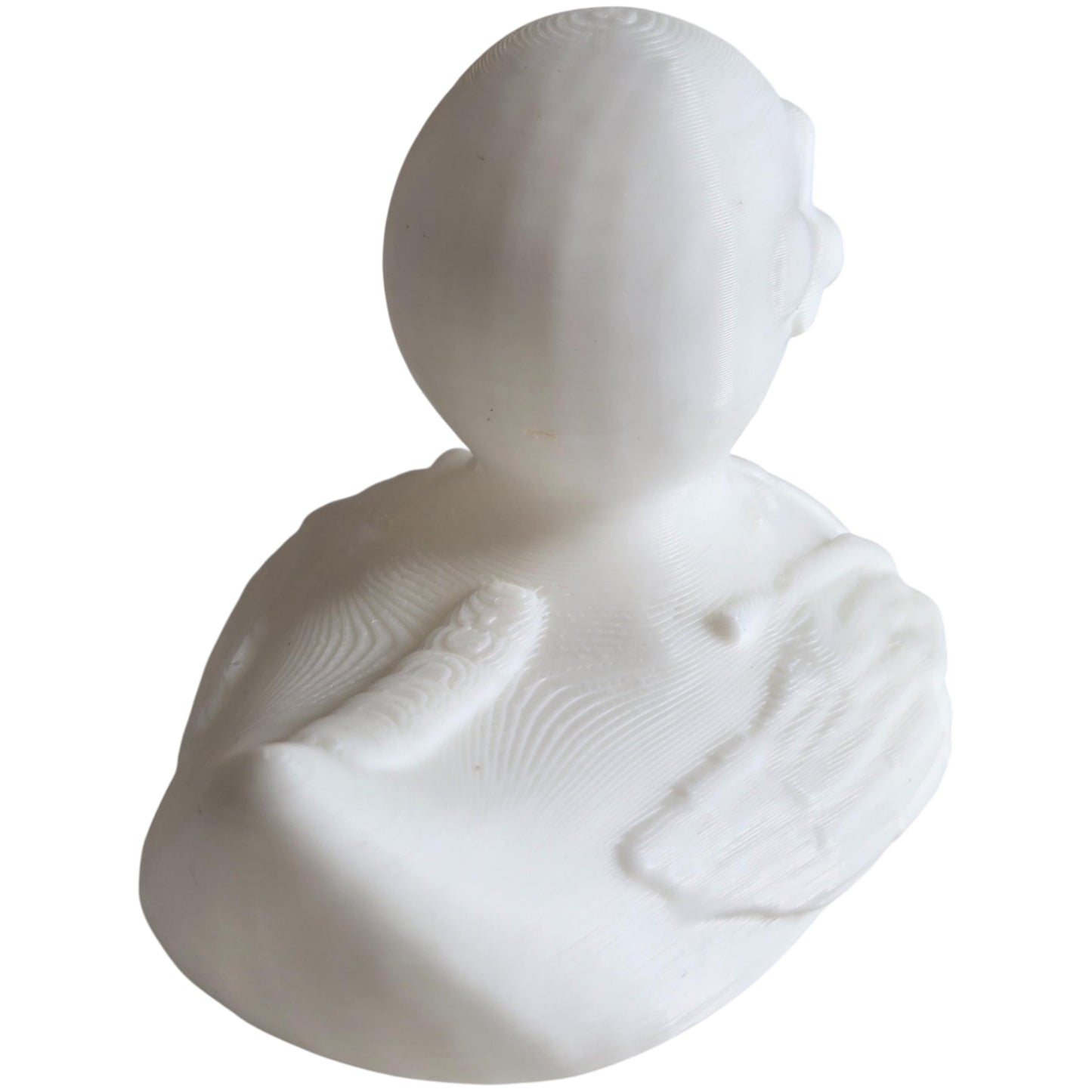 Skeleton Duck Collectible Figurine - Striking Gothic Desk Decor for Unique and Spooky Shelf Display - 3D Printed in Canada