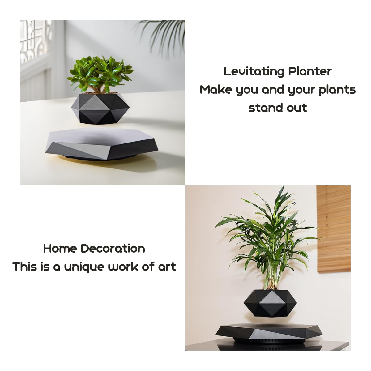 MOOCCI Levitating Plant Pot Floating Plant Potted Plant, Air Bonsai and Artificial Plants, Home Office Desk Decor, Gift for Easter, Mother's, Father's Day（Black