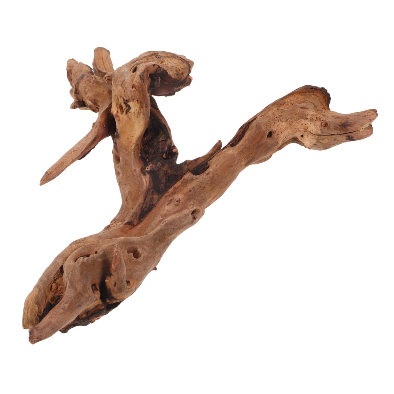 POPETPOP Natural Driftwood for Aquarium Decor - 9.8×5.9" Unique Wood Branch Fish Tank Decorations & Reptile Tank Accessories, Drift Wood Log for Leopard Gecko Terrarium Accessories