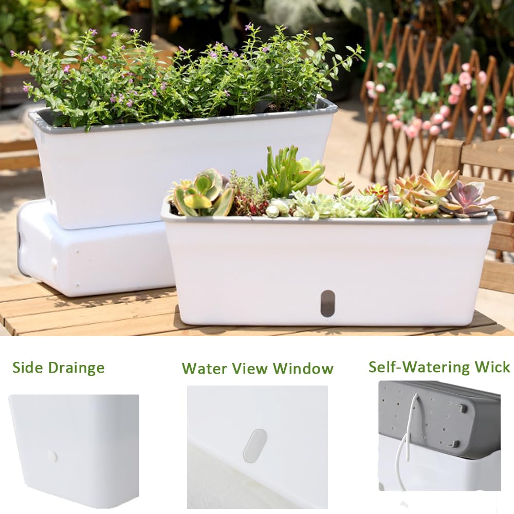 Self Watering Pots for Indoor Plants Rectangular Planter 2 Pack 17.32 inch , Water Level Window Prevent Overwatering for Herbs Vegetable Succulents Strawberry Pot for Garden Windowsill Indoor Outdoor