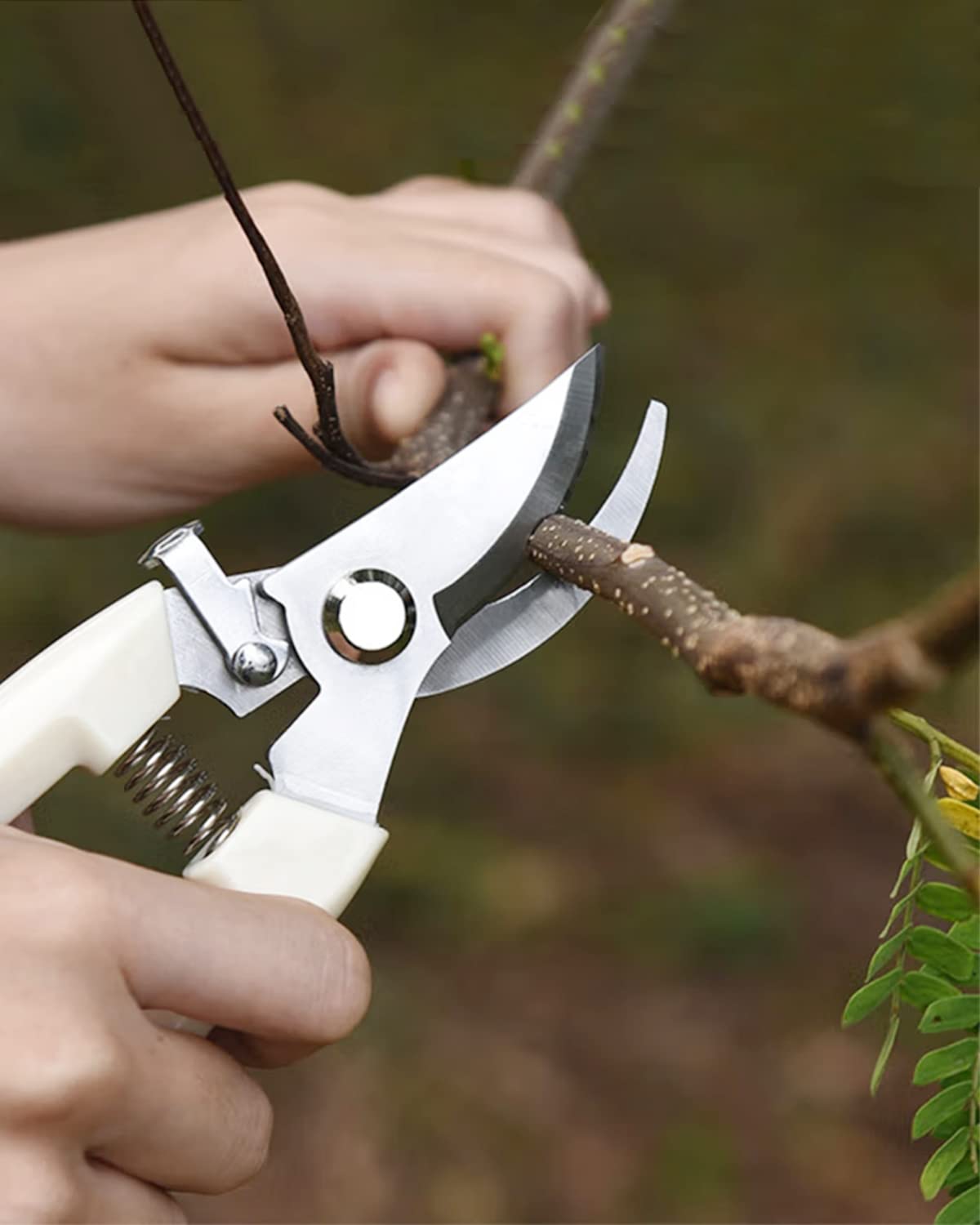 Pruning Shears for Gardening - 12 Packs Stainless Steel Garden Shears for Cutting Flowers Stems, Plants, Bonsai, Fruits Picking (Yellow)
