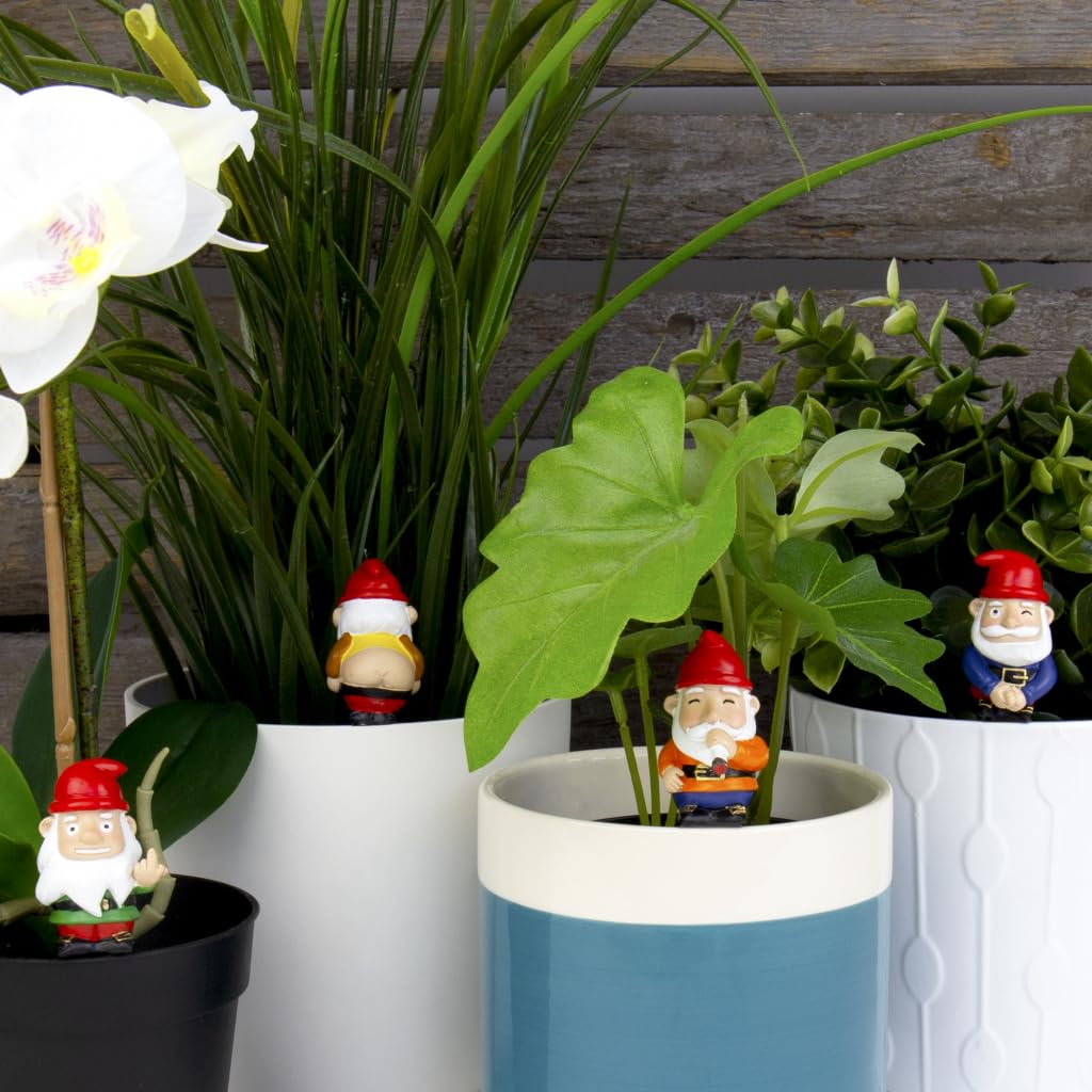 Naughty Gnomes Planters, One Size, Multicolor