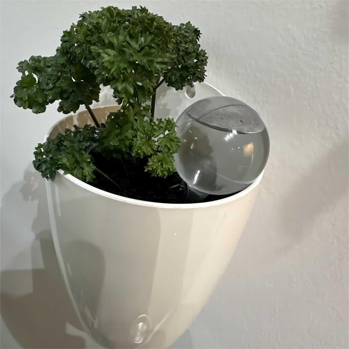 HAKZEON 8 PCS Plant Watering Globes - Large Plastic, Clear Automatic Drip Water Bulbs for Indoor/Outdoor Plants