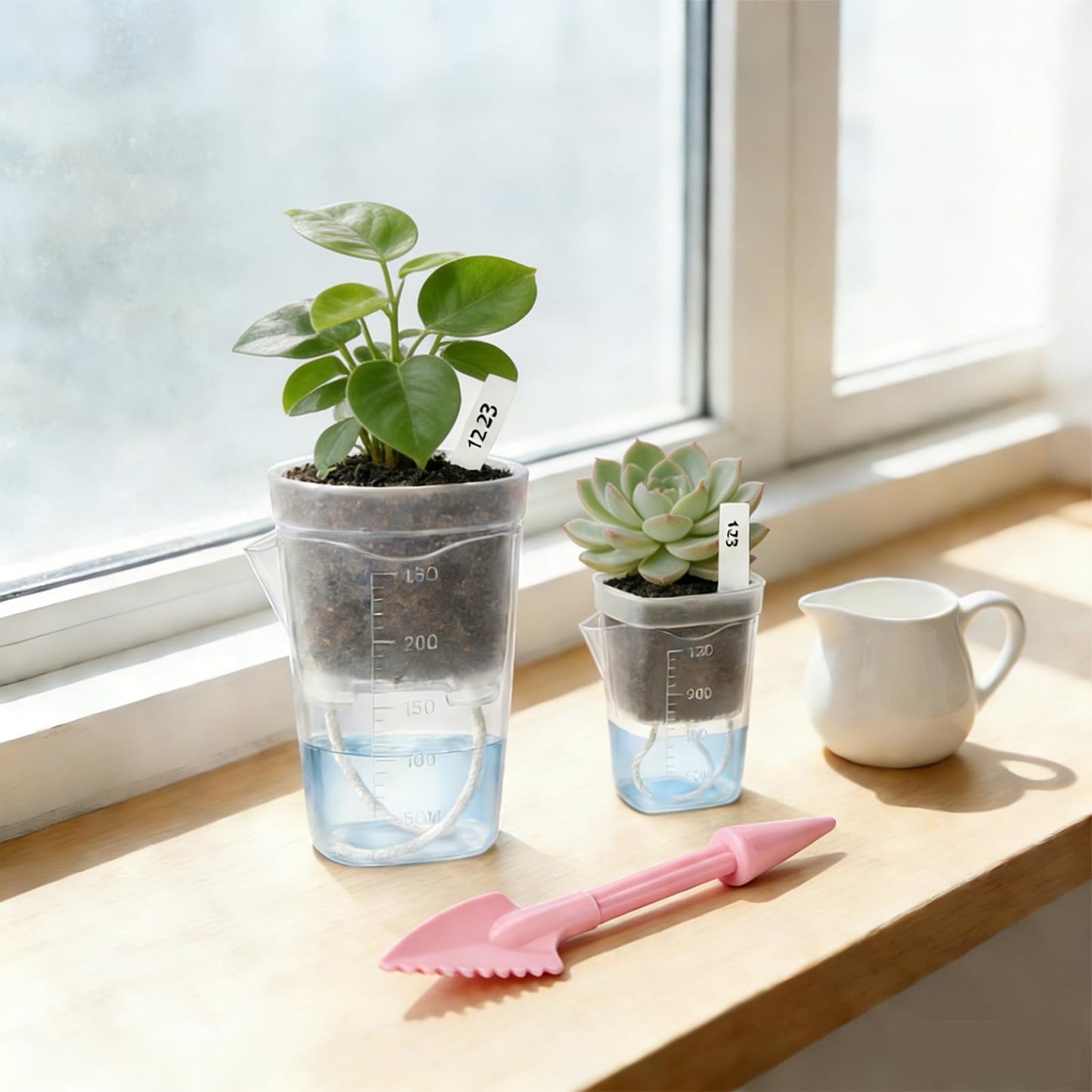 emciba 12 Pack 2.5"/2" Mini Clear Self Watering Pots for Indoor Plants with 2 pcs Transplanting Tool, Small Plastic Propagation Pots for Plants, Water Level Indicator,Drainage Hole,12 Plant Labels