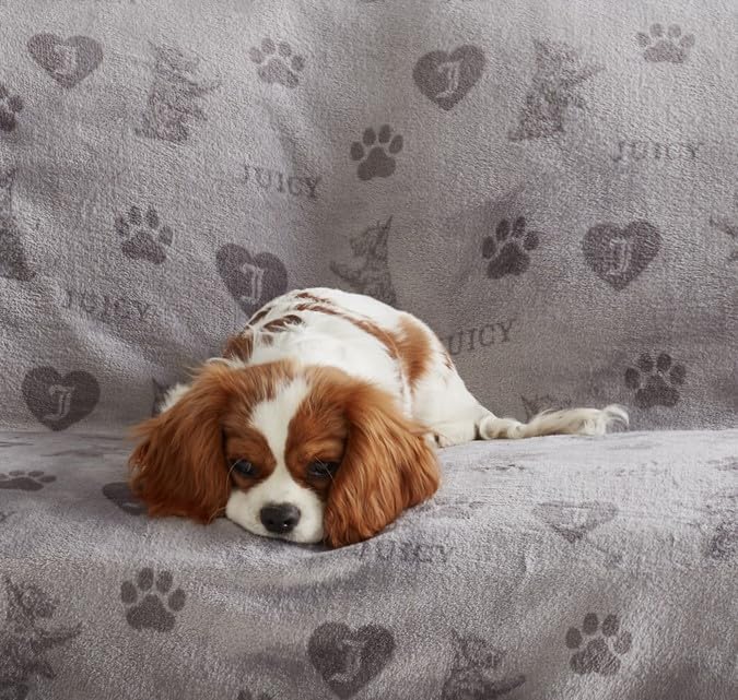 Juicy Couture Dark Grey/Light Grey 50" x 60" Cat, Dog, Plush Puppy Blanket Throw, Printed, Breathable, Lightweight, Machine Washable, for Small Medium & Large Pets