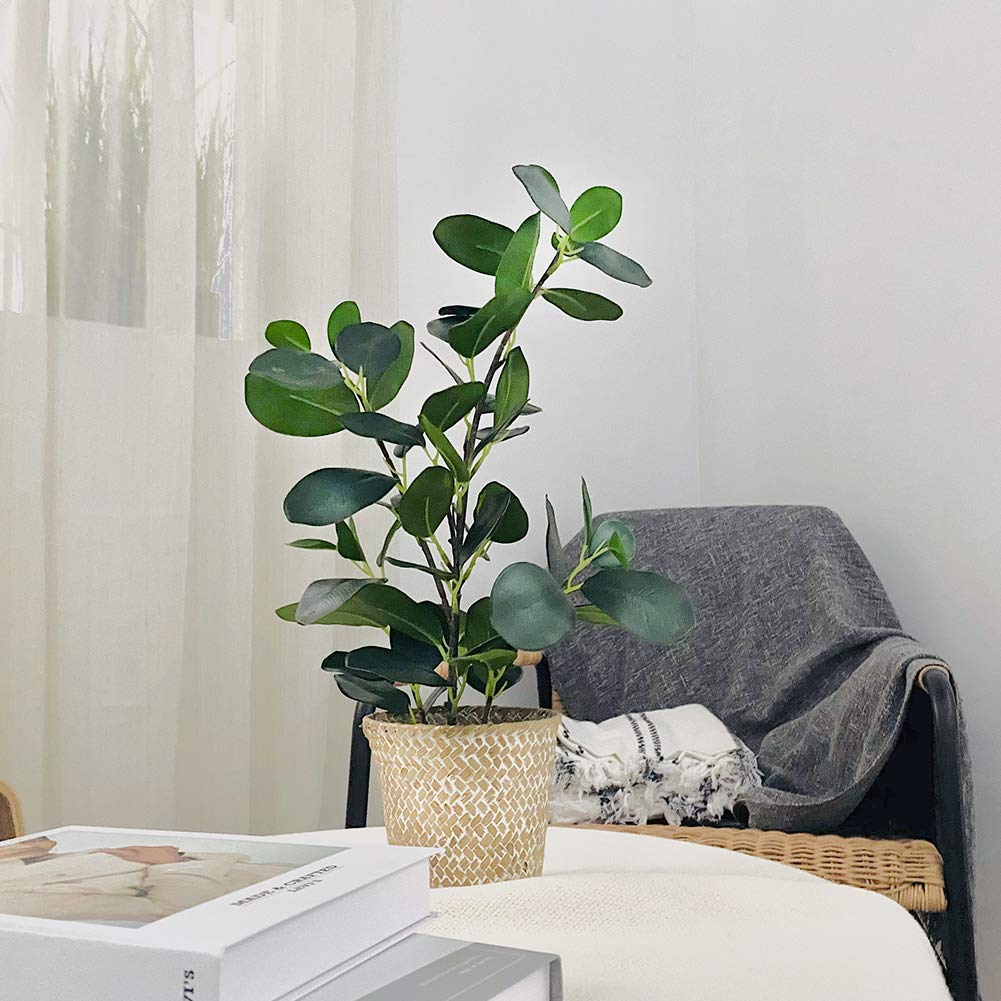 SAROSORA Artificial Ficus Tree Small Fake Plants in Weaved Pot 20" Height for Living Room Desktop Decor Indoor Home Office Ins Style (Green, 1)