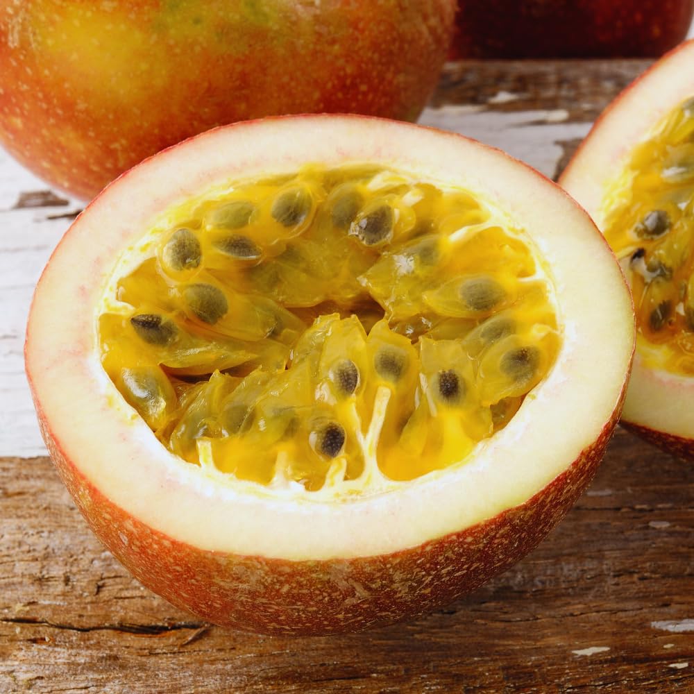 Set 2 Purple Passion Fruit Plants Live, Passionfruit Live Plant, 4'' Tall