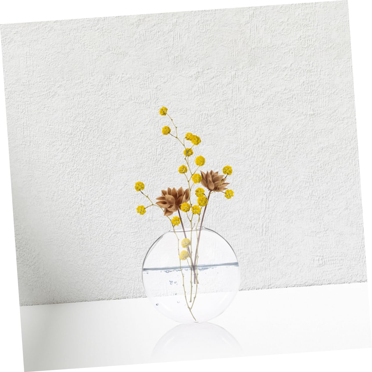 Mobestech 2pcs Glass Flower Vase Wall Mount Hydroponic Wall Plant Terrarium Decorative Hanging for Indoor Plants