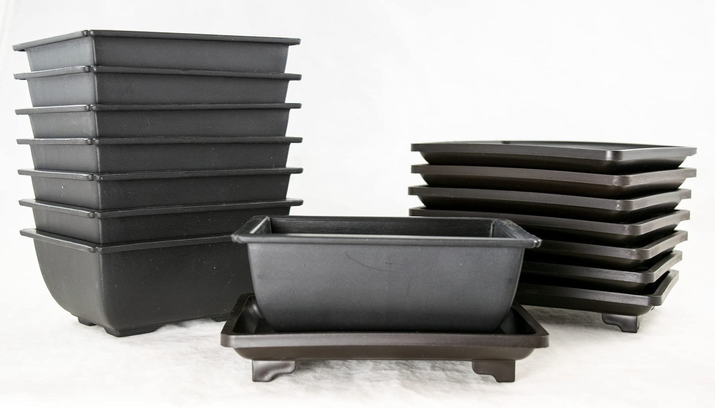 8 Sets Rectangular Plastic Shohin Bonsai Training Pot, Cactus & Succulent Planter + Tray 5 inches x 3.5 inches x 2 inches , Black