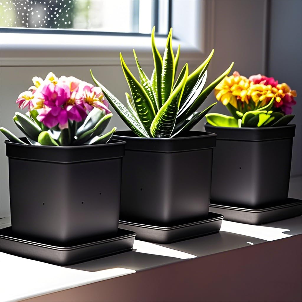 Tectsia Square Plant Saucer 8 Inch 5 Pack, Planter Trays for Flower Pots, Plant Water Catcher Drip Dishes, Plastic Bottom Watering Plates Indoors and Outdoors - Black
