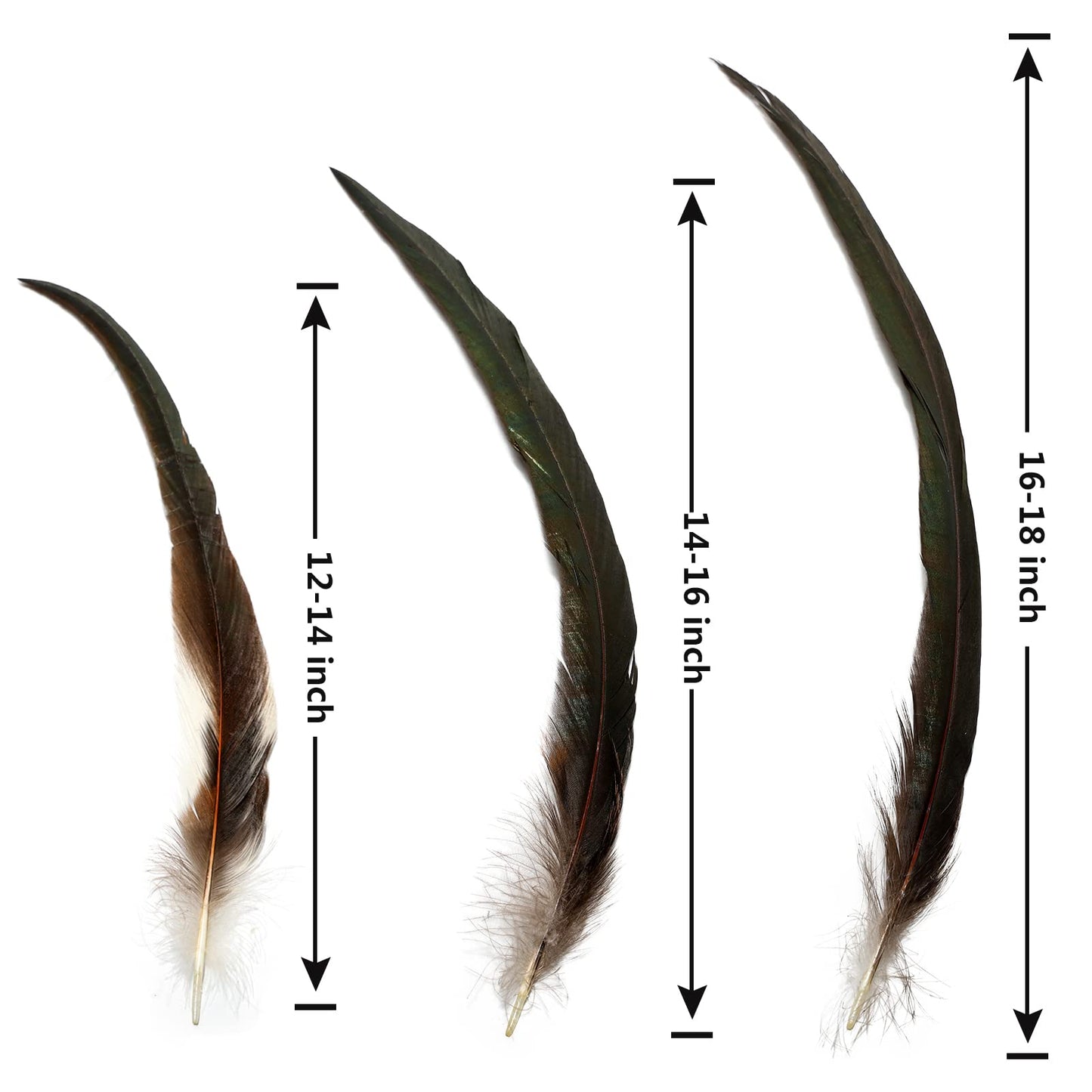 THARAHT 20PCS Rooster Coque Tail Feathers Bulk Natural 16-18Inch 40-45cm for Crafting Wedding Gras Masquerade Party Performances DIY Decoration Rooster Tail Feather,Natural