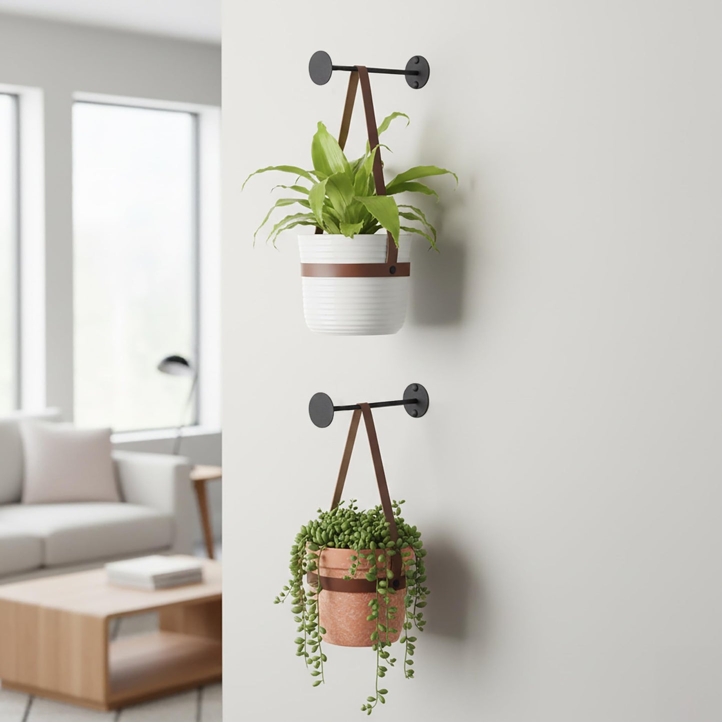 Bloem Revel 8" Indoor Metal Plant Wall Hanger - Easy Install, 15 lb Weight Capacity, Installation Kit Included, Decorative Wall Hook for Hanging Plants, Black