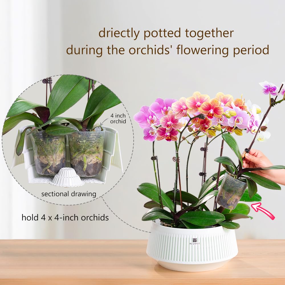 Meshpot 8 inch Orchid Pots with Holes for Repotting,Set of 1,Decorative African Violet Pots with Air-Pruning and Good Air Circulation,Plastic White Orchid Planter with Saucers