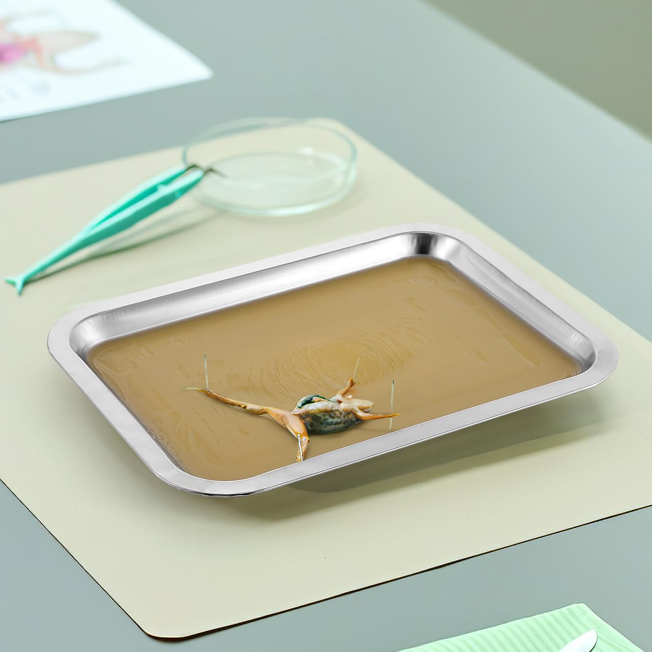 iplusmile 6 Set Dissection Pan with Wax, 10.2" x 7.5" Reusable Thicken Stainless Steels Dissection Kit for Laboratory Science Education & Medical Students Experiments
