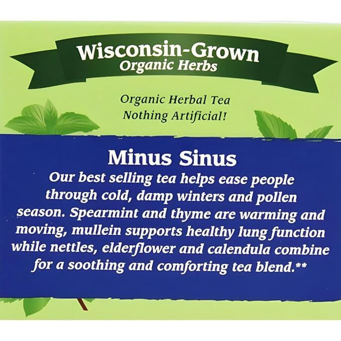 Four Elements Minus Sinus Tea [16 Teabags, 1.2 oz] | Organic Spearmint Tea with Mullein & Thyme | Caffeine Free Herbal Blend with Refreshing Aroma & Comforting Flavor | Enjoy Hot or Iced Latte