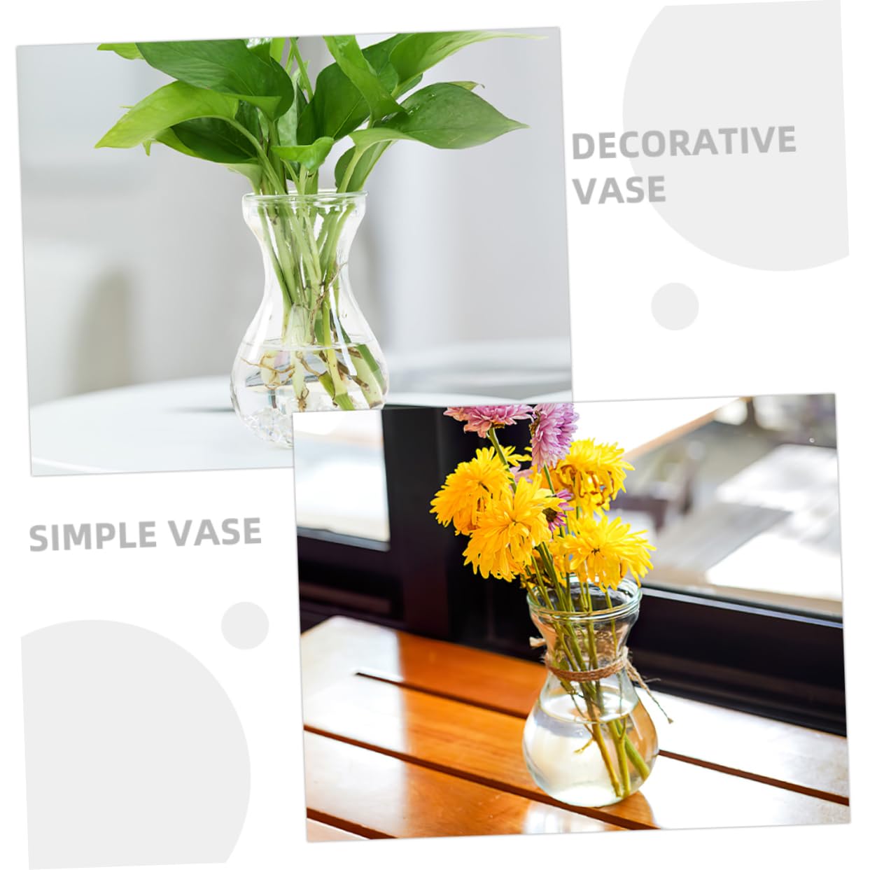 BESTOYARD 5pcs Glass Vases for Flowers Terrarium Decor Centerpieces for Indoor Plants Bud Vases