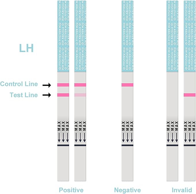 Ovulation Test Strips 50 Pack + Pregnancy Test Strips 20 Pack, LH & hCG Fertility Kit for Women, Early Detection Ovulation Predictor & Pregnancy Tests, 70 Home Strips Total (50+20)