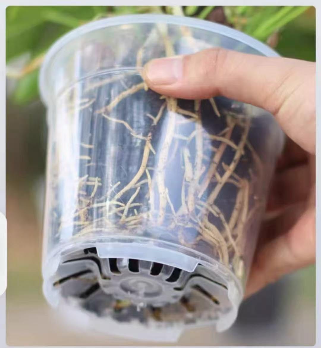 NABAOXUN 12 Pack 6.7/5/4.5 Inch Clear Plastic Pots for Plants，Thickened and Durable Nursery Pots for Plant，Plastic Plant Pot Seedling Planter Seed Starter Flower