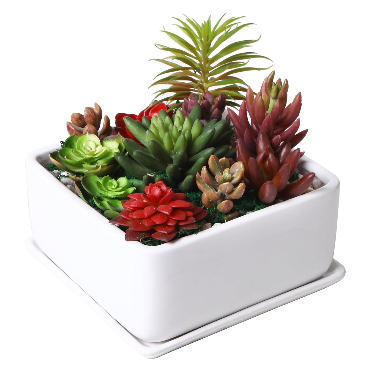 MyGift Modern White Ceramic Square Indoor Small Planter, Flower Succulent Plant Pot with Drainage Hole and Removable Drip Tray