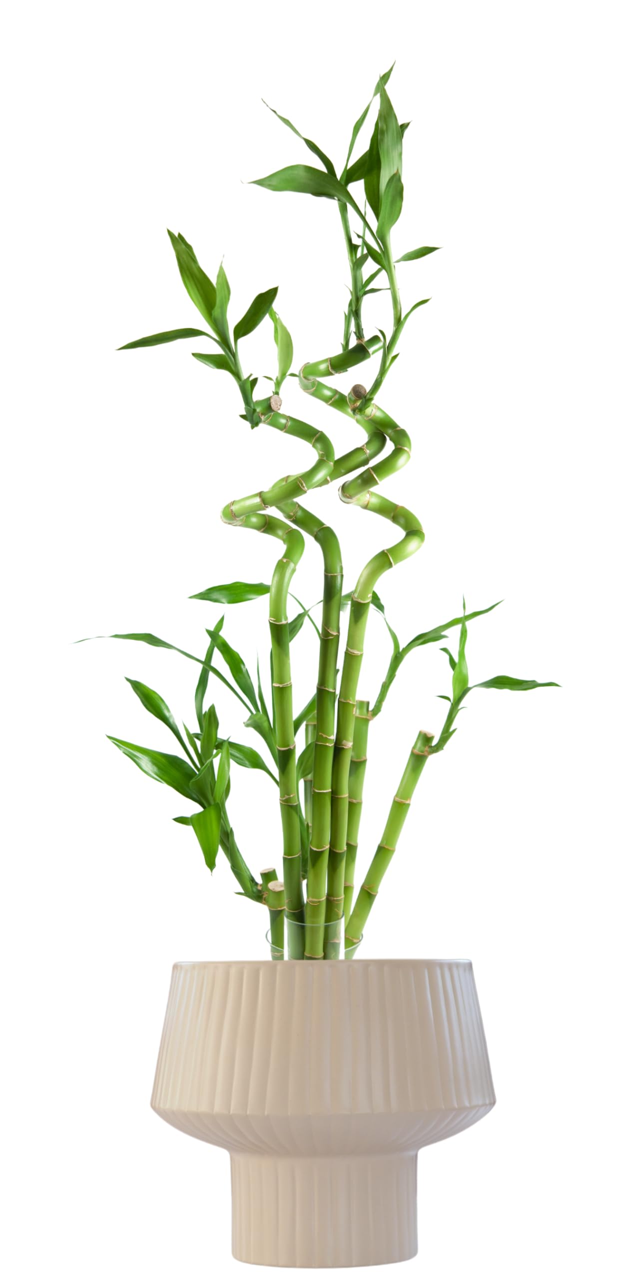 Wide Top Modern Handmade Metal Indoor Planter with Unique Shape, Vertical Grooved Design and Anti-Scratch Pads, Rust-Resistant Finish that is Sustainable Non-Plastic Pot Recyclable Metal Vase (White)