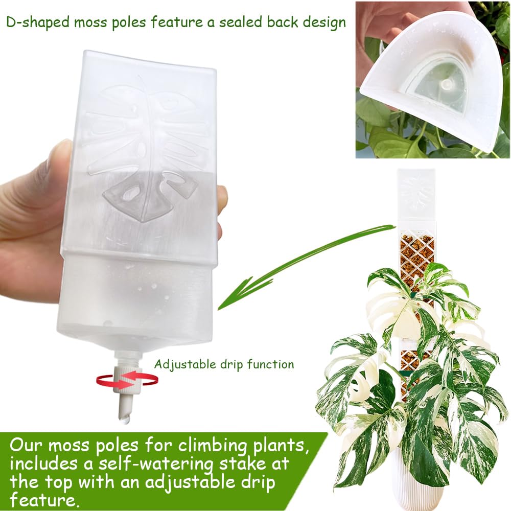 MIIIM 6 Pcs Self-Watering Moss Poles, D Shape Moss Pole Kit for Climbing Plants Indoor, Semi Transparent Monstera Plant Support, 69 Inches in Total Length