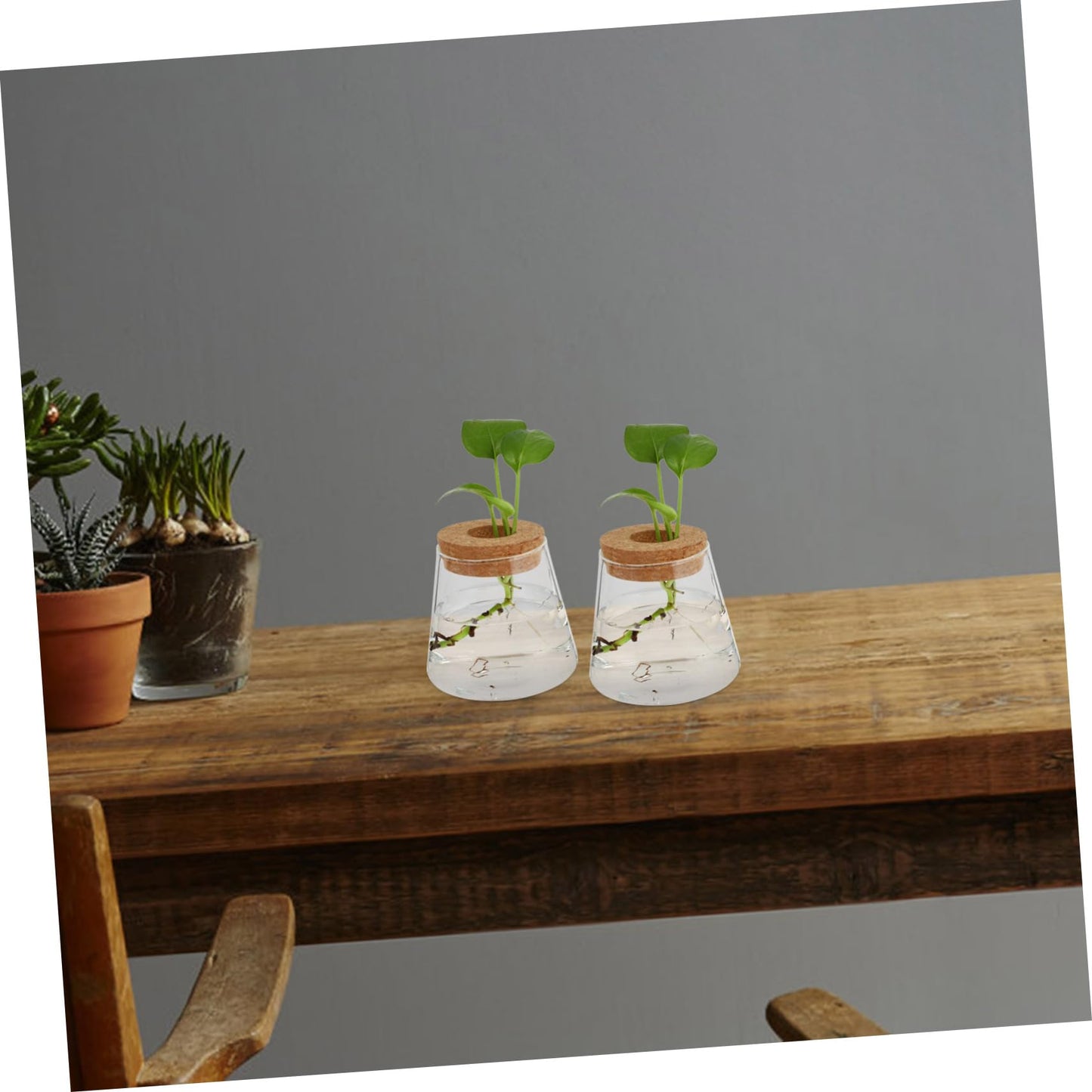 VALICLUD 2Pcs Glass Desktop Vases Hydroponics Plant Containers Terrarium for Office Home Decor Glass and Wood Material Space Saving Propagation Jars