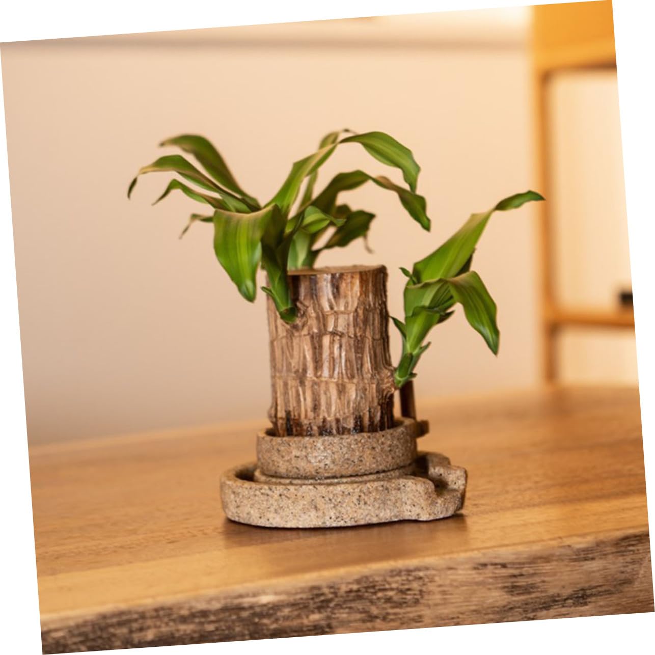 COOLHIYA Creative Stone Mill Shape Resin Flowerpot Desktop Succulents Container for Home Office Garden Balcony Decor in Dark Gray