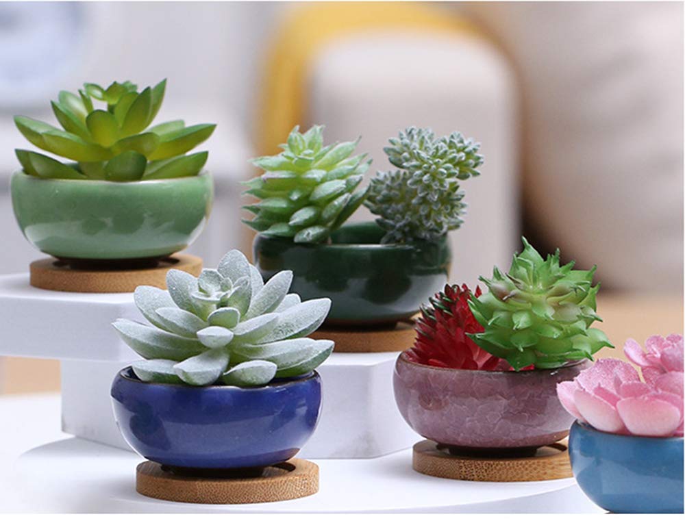 Lawei 12 Pack Ice Crack Succulent Pots with Bamboo Saucer - Ceramic Mini Cactus Plant Pots Flower Pots Container Planter for Home Garden Office Decoration