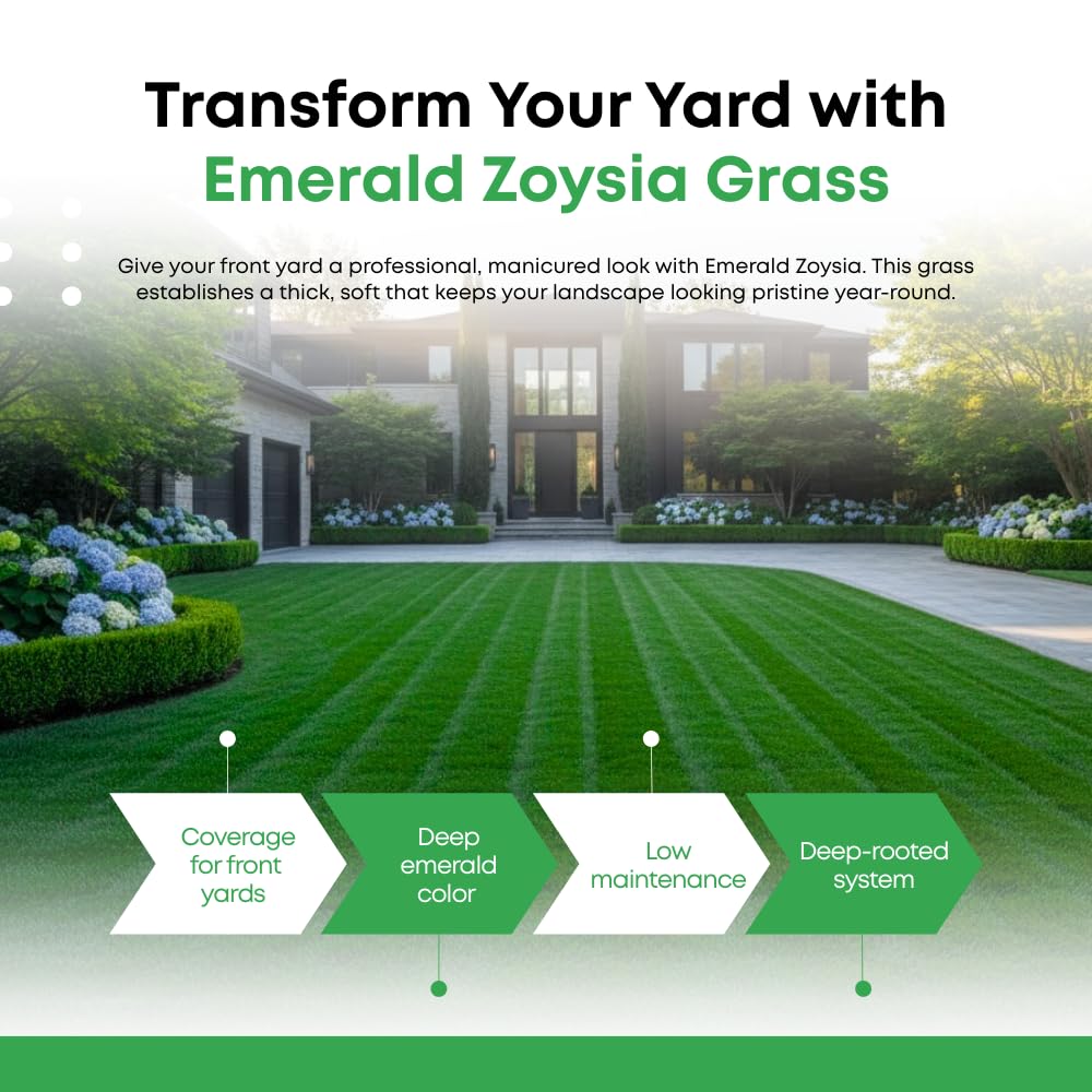 Set 20000 Emerald Zoysia Grass Seeds, Zoysia Grass Seeds for Lawn, Dense Green Grasses for Front Yard, Backyards, Ground Cover and Landscape