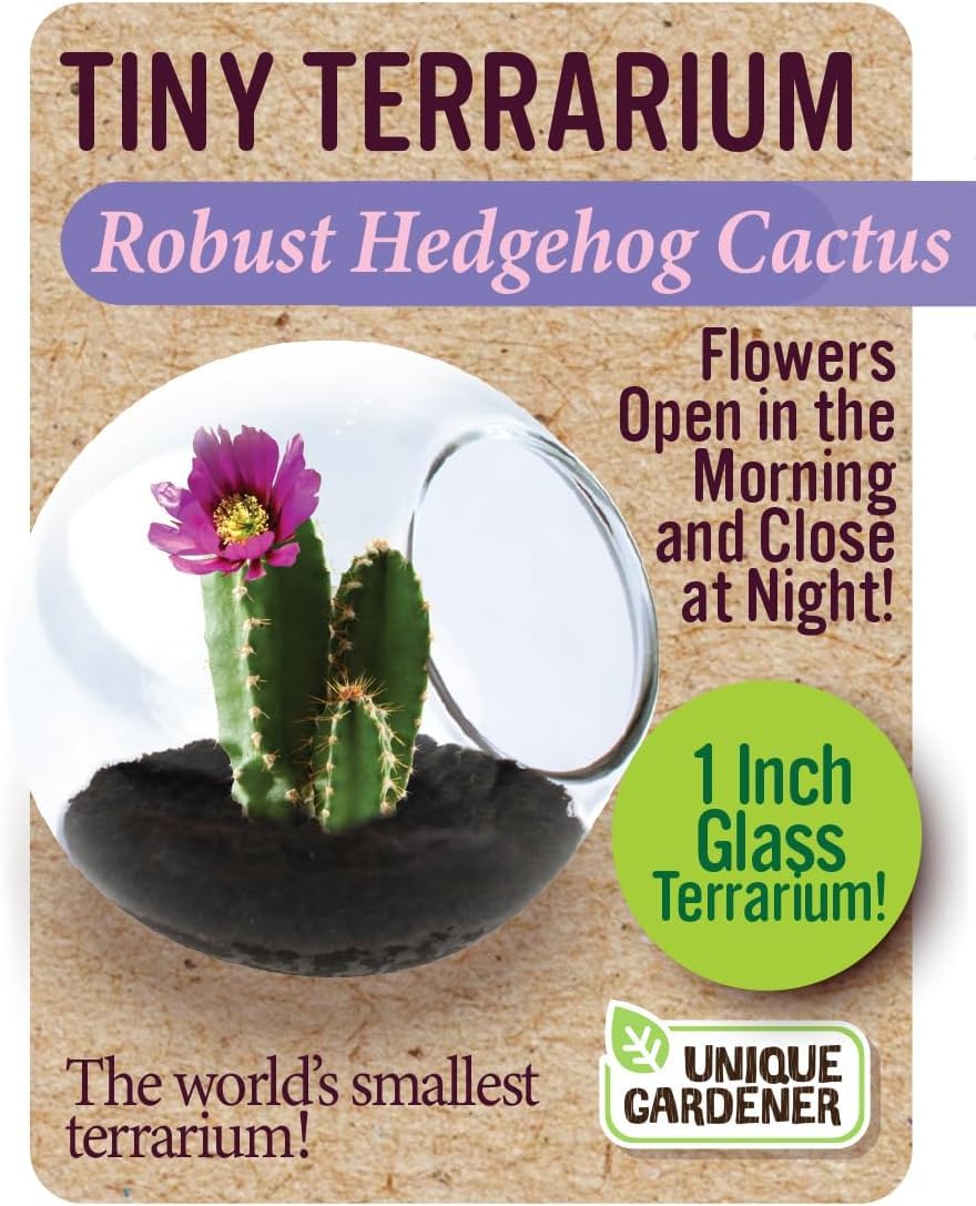 Unique Gardener Tiny Terrarium Plant Seeds 6 Variety Cacti Pack, DIY Indoor Succulents and Live Plants for Home or Garden Planting, Assorted Cacti Pack