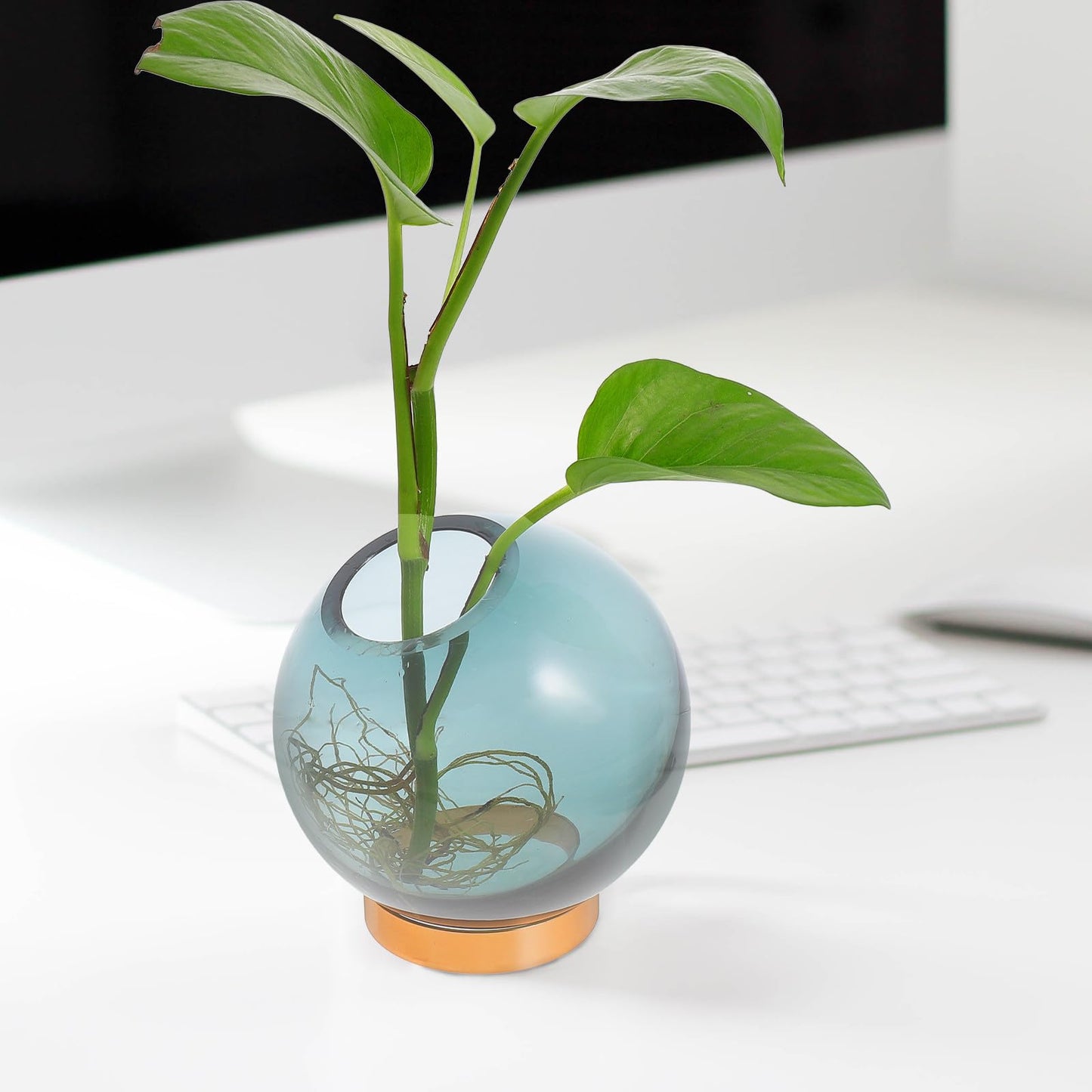 Cabilock Glass Hydroponic Vase with Copper Stand, Small Round Floral Arrangement Terrarium for Indoor Plant Decor and Hydroponic Flowers Display