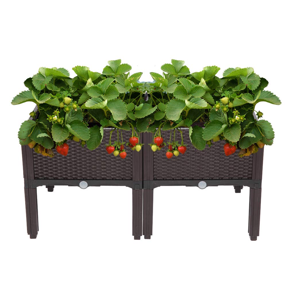 VINGLI Square Raised Garden Bed, Self-Watering Plastic Planter for Indoor Outdoor Vegetables, Fruits, Potato, Flowers, All Weather (2 Pcs)