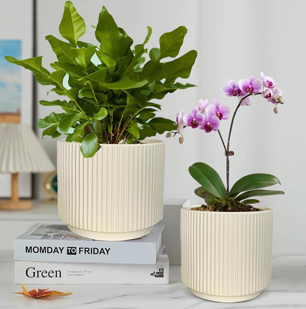 MUZHI Ceramic Orchid Pot with Holes and Drainage Tray Set of 2,(5+6 Inch), Double Layer Orchid Planter with Clear Plastic Inner Net Baskets Pots for Repotting (Lt Yellow)