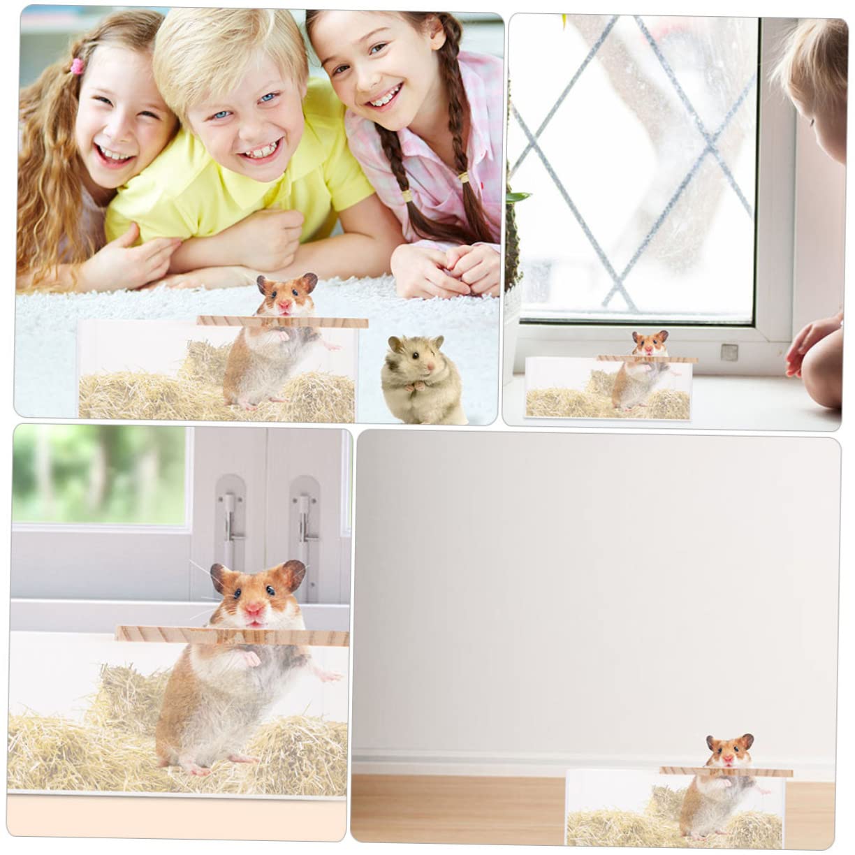 WOONEKY Chinchilla Bath Toy Bin Acrylic Small Chinchilla Bathtub Multi-Function Cage Box Easy Clean Design