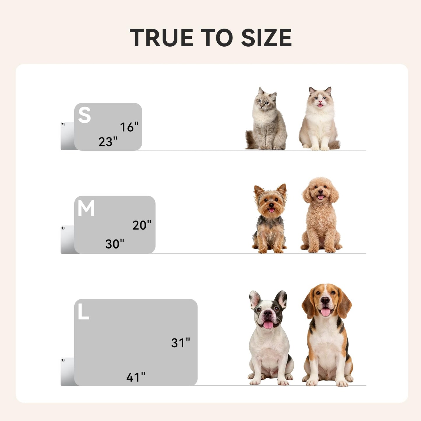 LINENLUX 1 Pack 3 Blankets Super Soft Fluffy Premium Fleece Dog Blankets for Puppy Cat Pet Blanket Flannel Throw Warm Sleep Bones and Claws 31x20 inches