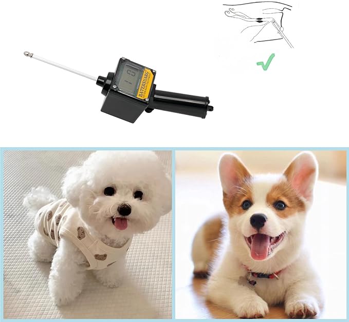 Dog Ovulation Detector with Detailed Manual, Pregnancy Test for Dogs at Home, Dog Progesterone Test Machine for Dog Pregnancy Planning Mating Testing, XZJ-213-80Y963