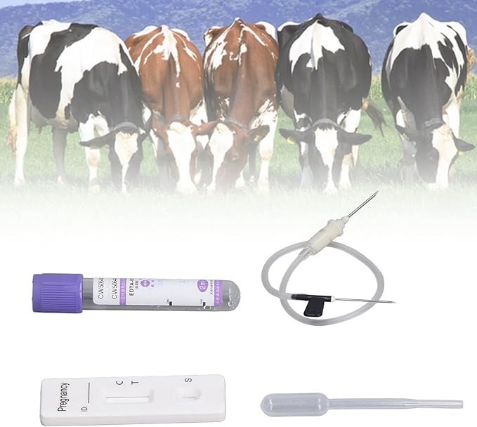 for Cow Pregnancy Test Pregnant Pregnancy Test Kit Pregnancy Test Card for Dairy Cow Livestock Cow Pregnant Test Paper Pregnancy Cattle Cattle Farm