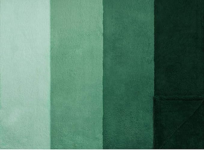 PAVILIA Fluffy Sherpa Throw Blanket Ombre | Gradient Plush, Soft, Fuzzy, Decorative Accent Throw Blanket for Couch Sofa Twin Bed | Cozy Warm Decorative Furry Faux Fur Blanket, 60x80 Inches Green