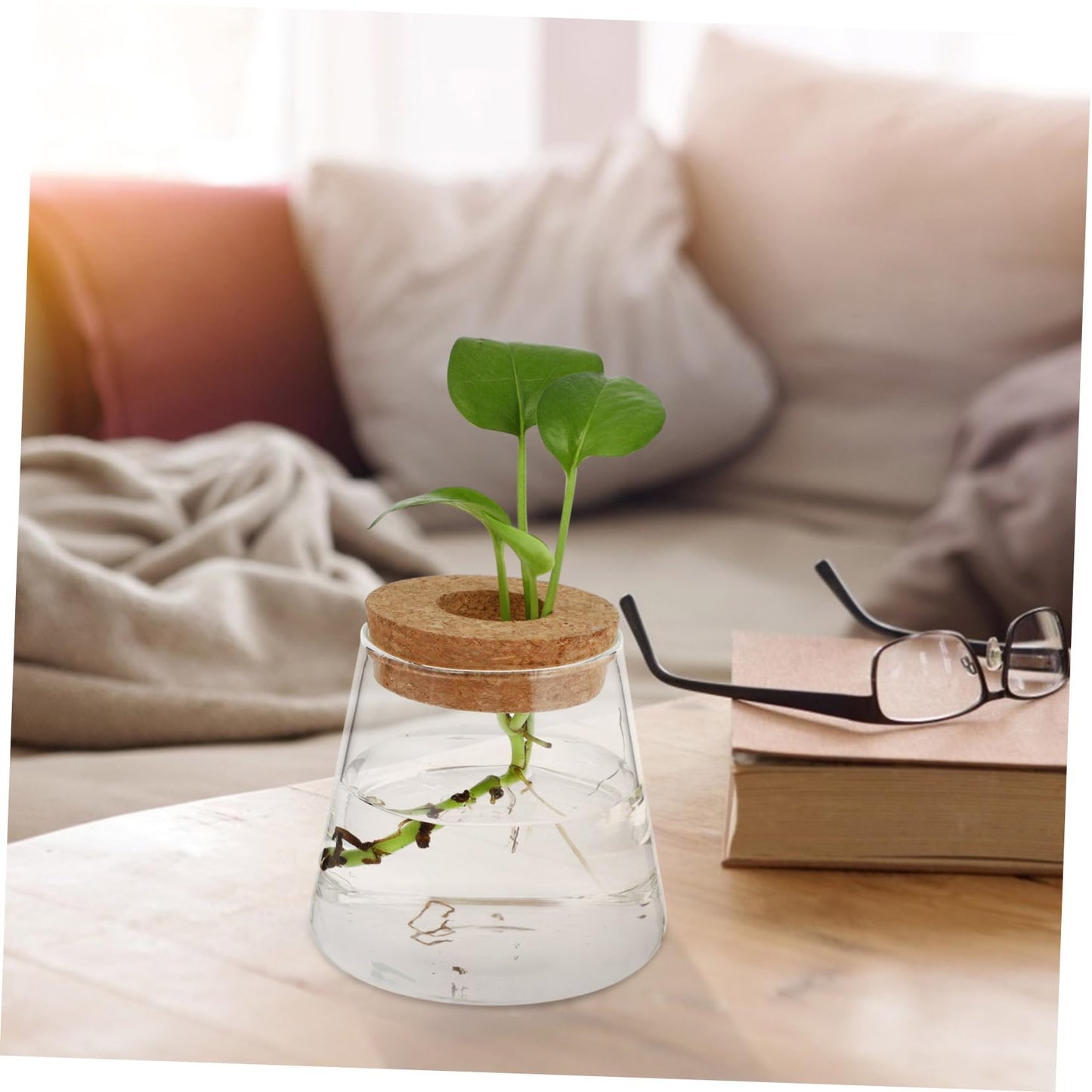 VALICLUD 2Pcs Glass Desktop Vases Hydroponics Plant Containers Terrarium for Office Home Decor Glass and Wood Material Space Saving Propagation Jars