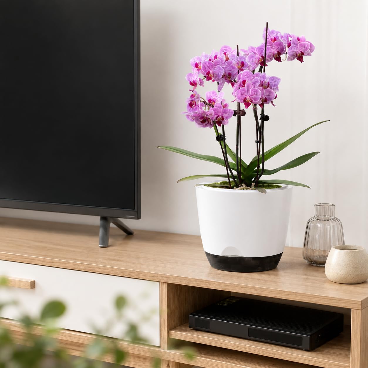 QCQHDU 2 Pack 5.7 Inch Orchid Pots with Holes for Repotting, Double-Layer and Self Watering Orchid Pot with Good Air Circulation