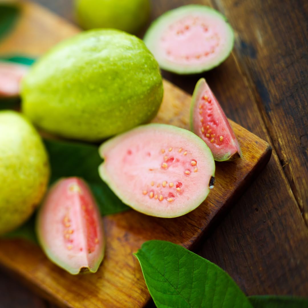 Pink Guava Plant Live, Sweet Tropical Guava Fruit Tree, 2–3 Ft Tall in 3 Gallon Pot, Ready to Grow, No Ship to CA