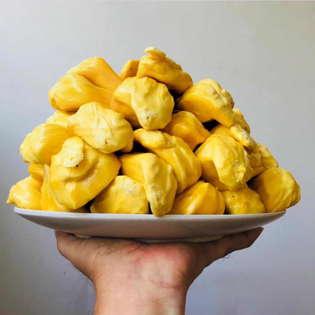 Live Jackfruit Tree Plant High Yield,1 Year Old Potted, 8-14" Tall, Sweet Tropical Fruit for Outdoor Gardens