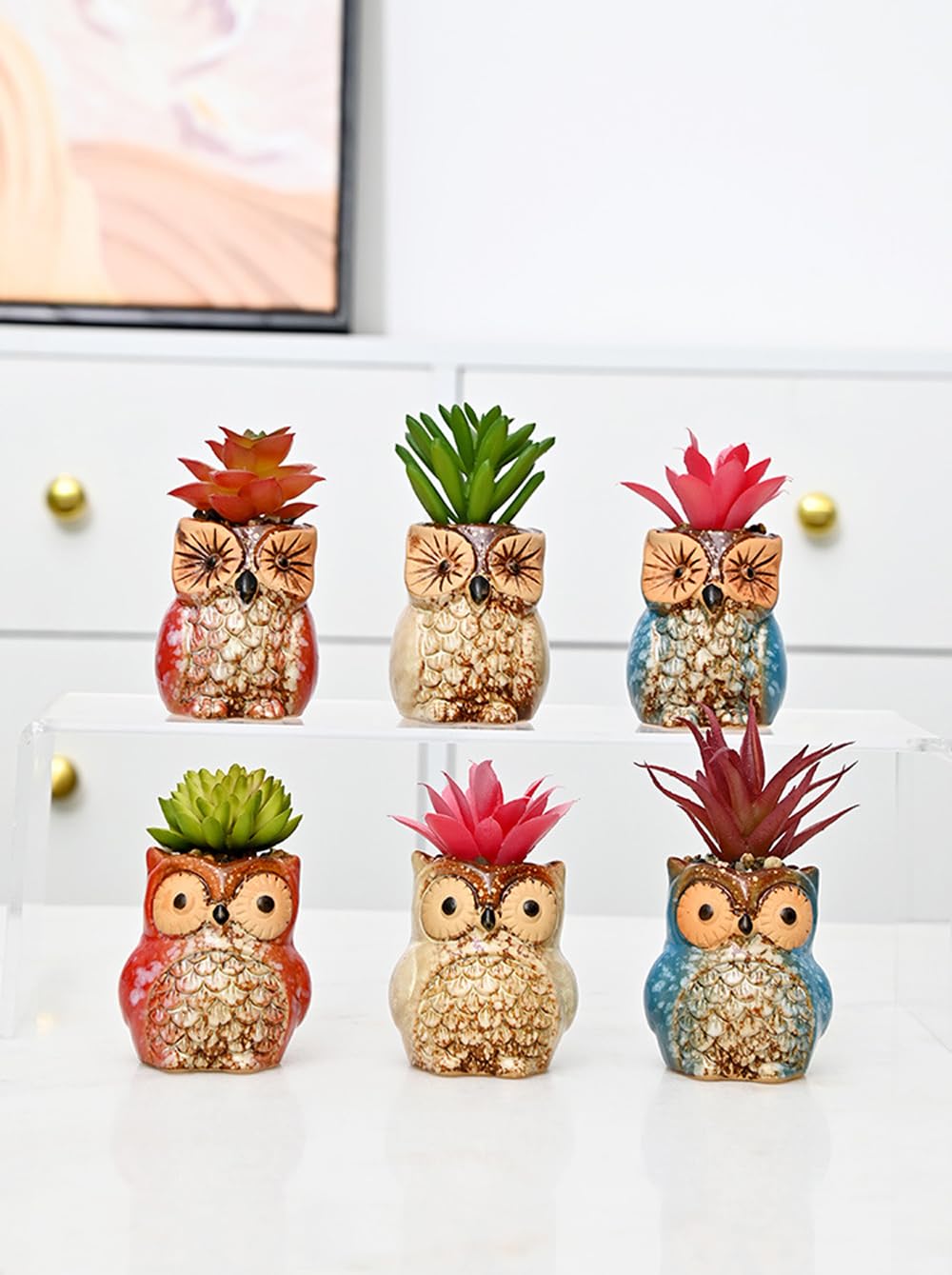ROSE CREATE 6 Pcs Mini 2.5 Inches Colorful Owl Pots, Little Ceramic Succulent Owl Planters with Drainage Holes