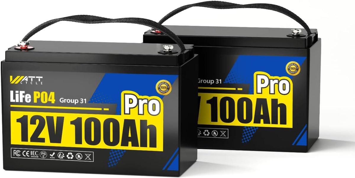 2Pack 12V 100Ah LiFePO4 Lithium Battery, BCI Group 31,Deep Cycle Up to 15000 Cycles, 110A BMS, Low Temperature Protection, 10 Years Lifespan, Perfect for RV/Home Energy Storage