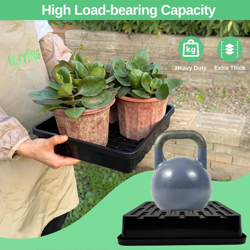 ILITING 1010 Growing Trays, 5-Pack Heavy Duty Seed Trays 10" x 10" Without Drain Holes for Seedlings, Microgreens, Wheatgrass, Fodder & Hydroponics, Black