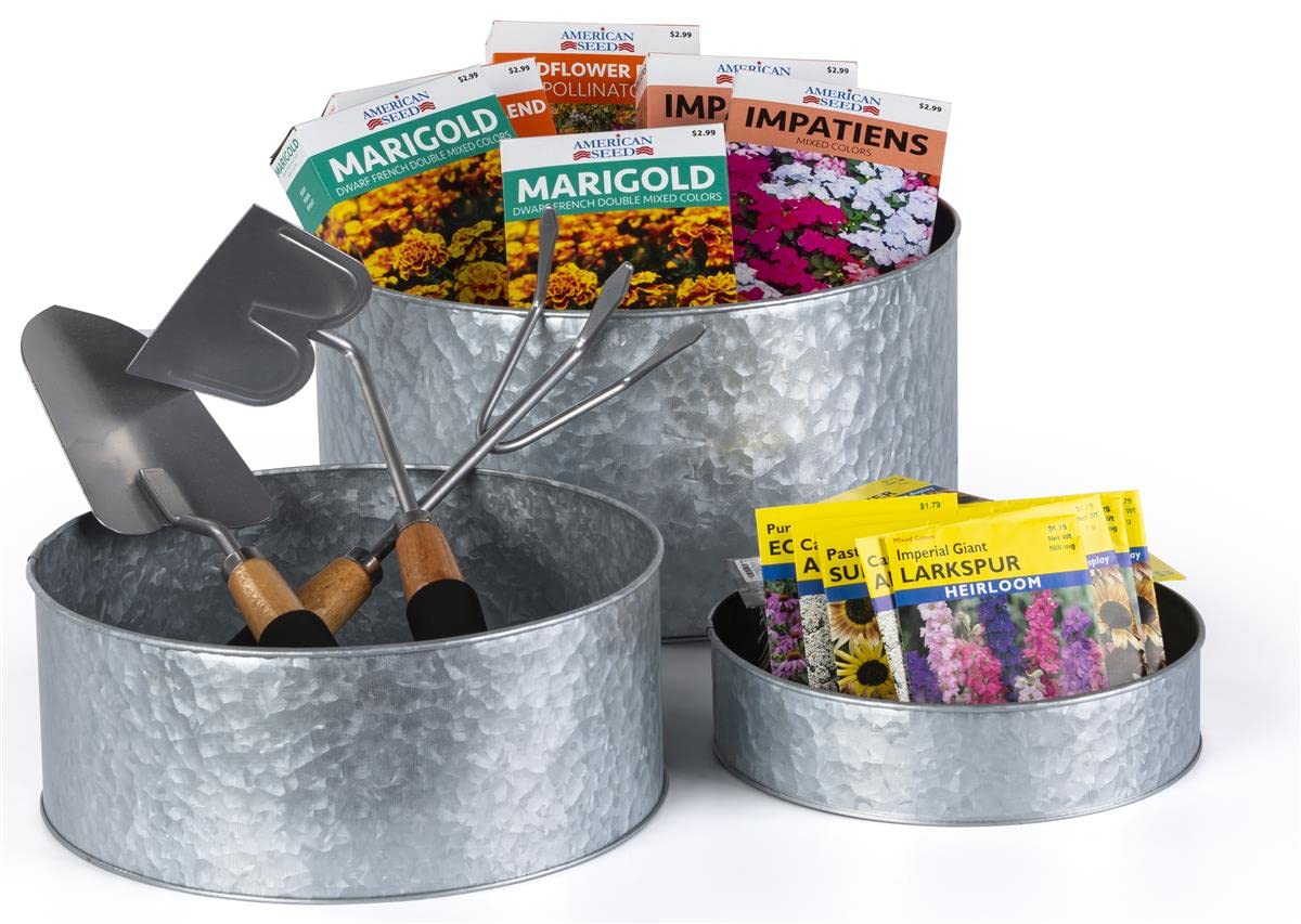 Displays2go Small Metal Plant Stands, Steel w/ Galvanized Coating, Indoor/Outdoor - Silver (SMRGGMR)