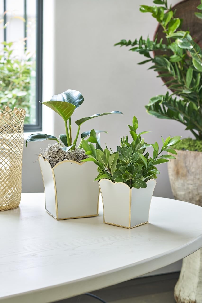 Jaye's Studio Decorative Square Cachepot Flower Pot, House Plant Pot Indoor, Modern Scalloped Planter, Boho Planter, Metal Pot - Floor, Tabletop, Porch & Window Planter for House Decor